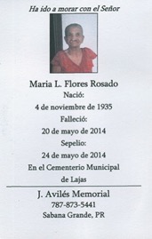 flores-rosado-maria-l.jpg