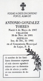 gonzalez-torres-felipe-nery.jpg