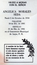 morales-seda-angelica.jpg