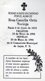 ortiz-noriega-rosa-camelia.jpg