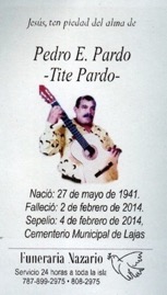 pardo-pedro-e.jpg